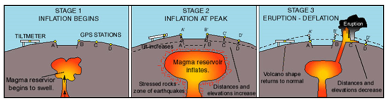 fig1